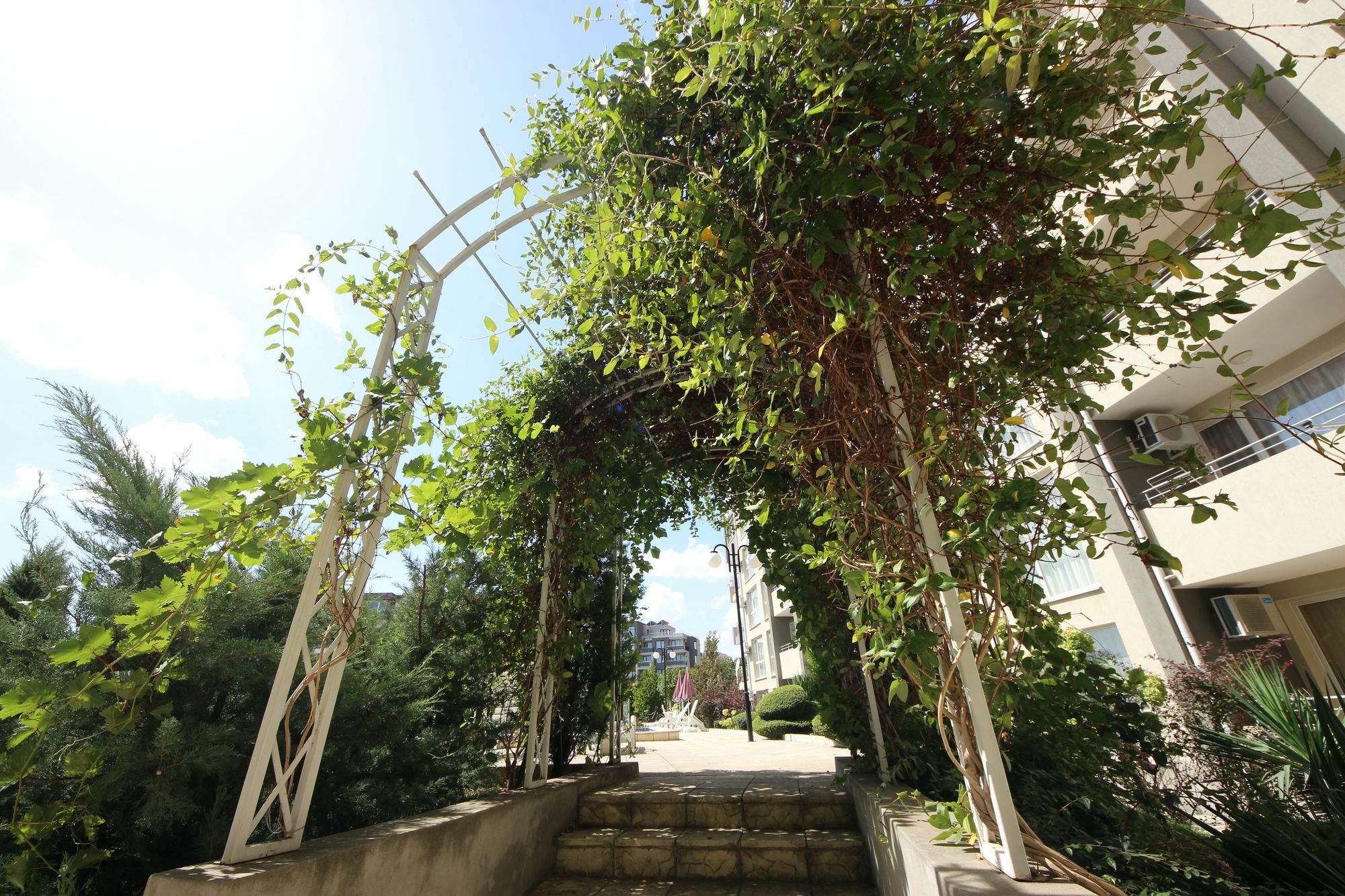 Menada Butterfly Apartment Sveti Vlas Bagian luar foto